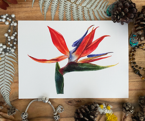 Bird of Paradise Greeting Card Canvas Front
