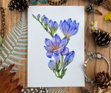 The Blue Freesia Flowers Greeting Card Canvas Front