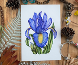 Blue Iris Flower Greeting Card Canvas Front