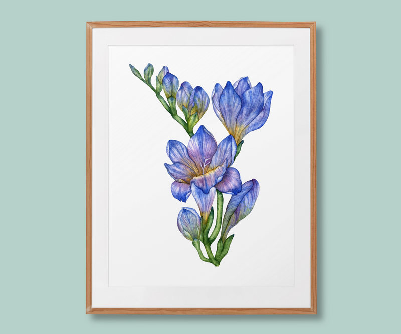 freesia-flower-blue-art-print-