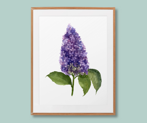 "Whispers of Lilac Beauty" Lilac Flower Art Print
