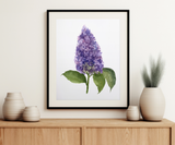 "Whispers of Lilac Beauty" Lilac Flower Art Print