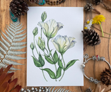 Lisianthus Flowers Greeting Card Canvas Front