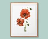 "Whispers of Scarlet" Poppy Flowers Art Print