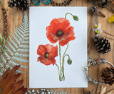 Poppy Flowers Greeting Card Canvas Front