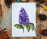 Lilac Flower Greeting Card Canvas Front