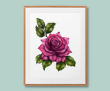 "Flourishing in Deep Hues" Rose Flower Art Print